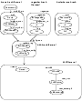 Illustration of dependencies: Configuration after modification for 
replication (Oracle9i)
