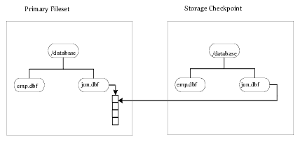 Primary fileset and its Storage Checkpoint

