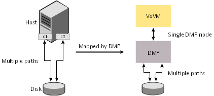 How DMP represents multiple physical paths to a disk as one node