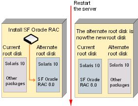 Installing SF Oracle RAC on an alternate root disk