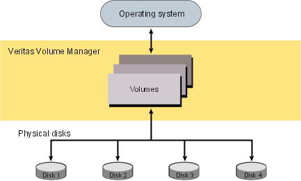 How VxVM presents the disks in a disk array as volumes to the operating system