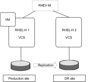 Schematic of the RHEV DR setup
