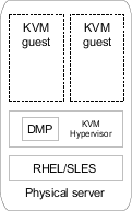 Dynamic Multi-Pathing in the KVM host