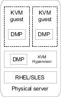 Dynamic Multi-Pathing in the KVM virtualized guest and the KVM host