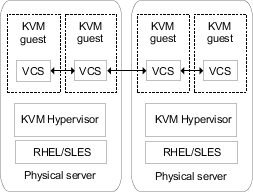 Cluster Server in the guest