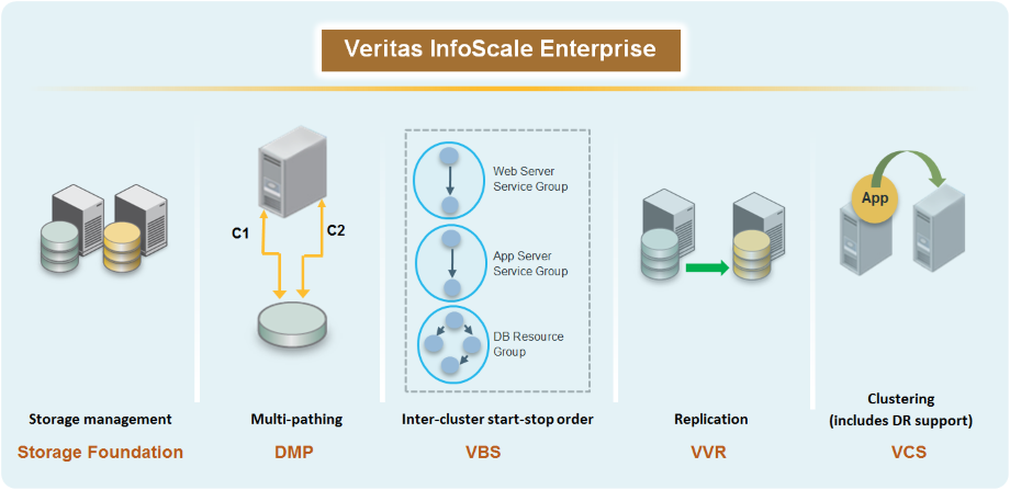 Veritas InfoScale Enterprise components