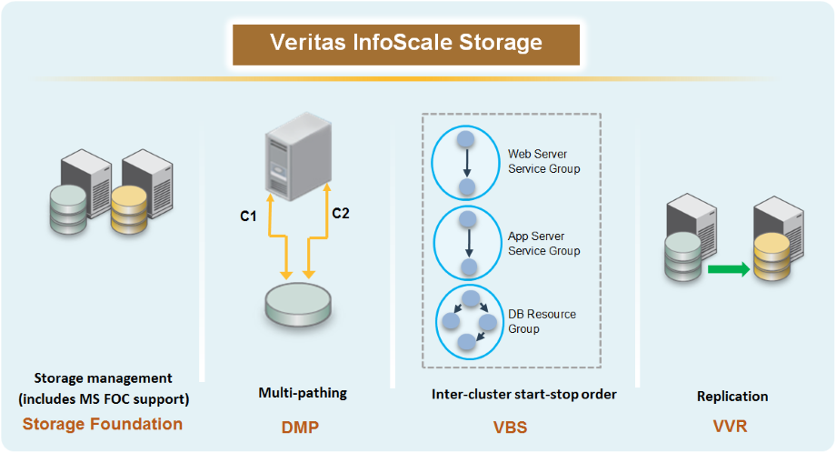 Veritas InfoScale Storage components