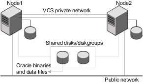 Oracle binaries and data on shared disks